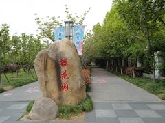 -高东镇樱花园