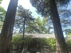 -潭柘寺景区