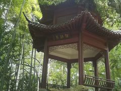 -杭州黄龙洞