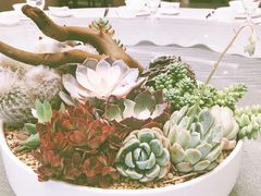 -道道鲜·崇明私房菜(五角场店)