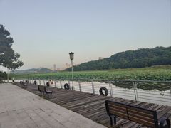 -月湖风景区