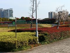 -白塘生态植物园