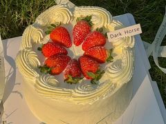 -Dark Horse·黑马蛋糕·低脂·低糖淡奶(金匙望湖大厦店)