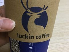 -瑞幸咖啡(Lab·华强电子世界店)