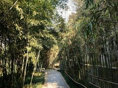 -龙头寺公园