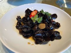 杏仁拌木耳-碧丽宫大酒店(召稼楼店)