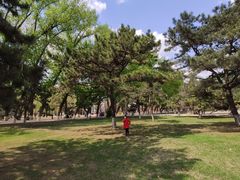 -二一九公园