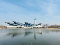 -盐城丹顶鹤湿地生态旅游区