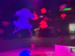 -邯郸海洋世界