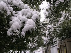 -洋湖国家湿地公园