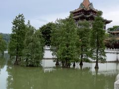 -顺峰山公园
