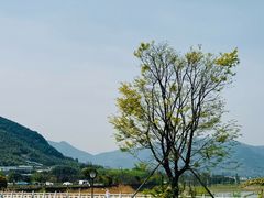 -四明湖