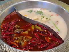 -麻田会 ·鲜活现烹·牛蛙火锅(珠江新城维家思广场店)