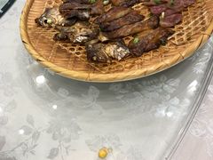 -海中洲渔社