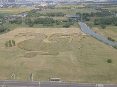 -无锡新湖铂尔曼大酒店