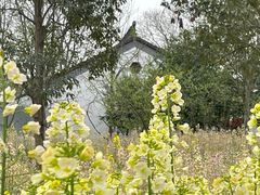 -苏州上方山国家森林公园