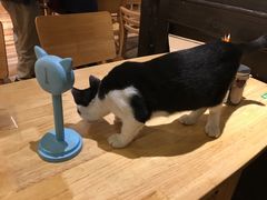 -猫的天空之城概念书店(杭州南宋御街店)