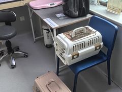 -谐和益家动物医院·免疫绝育·血液透析·宠保定点医院(高新伊藤分院)