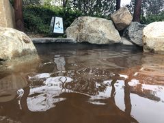 -溧阳天目湖天沐温泉