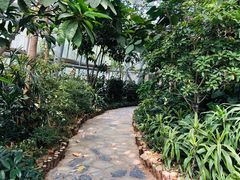 -郑州植物园