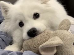 -鱼你在一起(福田安吉尔店)