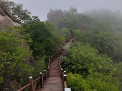 -大岭沟猕猴桃谷风景区