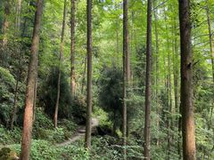 -青城山