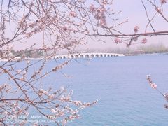 -颐和园
