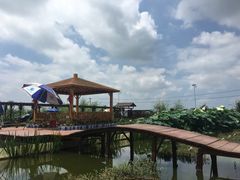 -同銮特种养殖场·龙虾垂钓