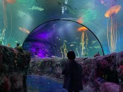 -沈阳海洋探索中心