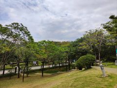 -中国移动南方基地