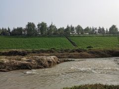 -洨河生态公园