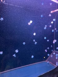 -Zoolung Zoolung动物主题公园(海信广场店)