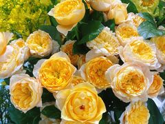 -森野花艺培训·企业团建活动沙龙