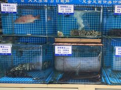 -清雅臻品·竹林院落·新派青岛菜(崂山店)