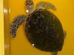 -秦皇岛新澳海底世界