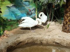 -海合安武汉极地海洋公园