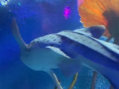 -沈阳海洋探索中心