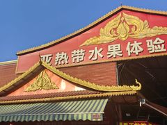 -曼阁市场水果批发市场