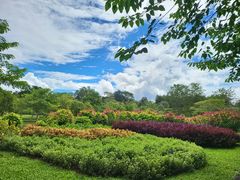 -中国科学院西双版纳热带植物园