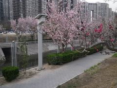 -方恒购物中心(望京小街店)