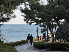 -燕儿岛山公园