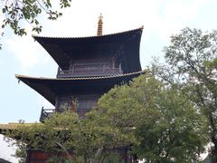 -广富林郊野公园