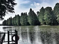 -溱湖国家湿地公园