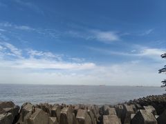 -上海滨江森林公园