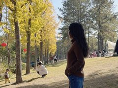 -美兰湖景区