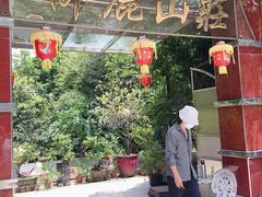 -天鹿湖森林公园