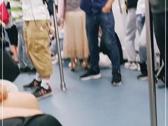 -竹子林(地铁站)