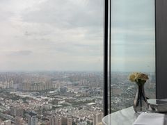 -无锡苏宁银河国际酒店-悦府65中餐厅
