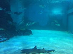 -常州海昌海洋探索馆